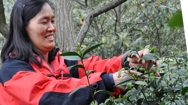Amanda-Picking-Tea-600